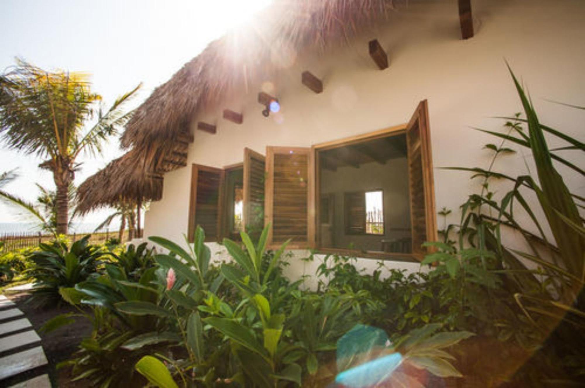 Готель Paredon Surf House El Paredon Buena Vista Номер фото