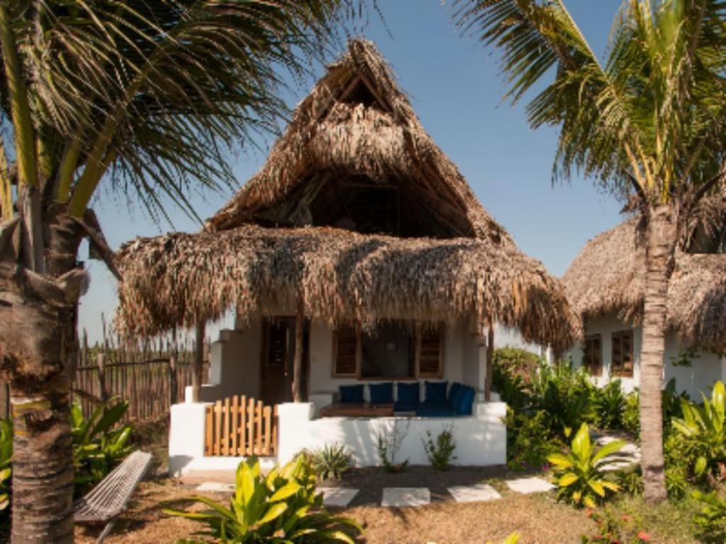 Готель Paredon Surf House El Paredon Buena Vista Номер фото
