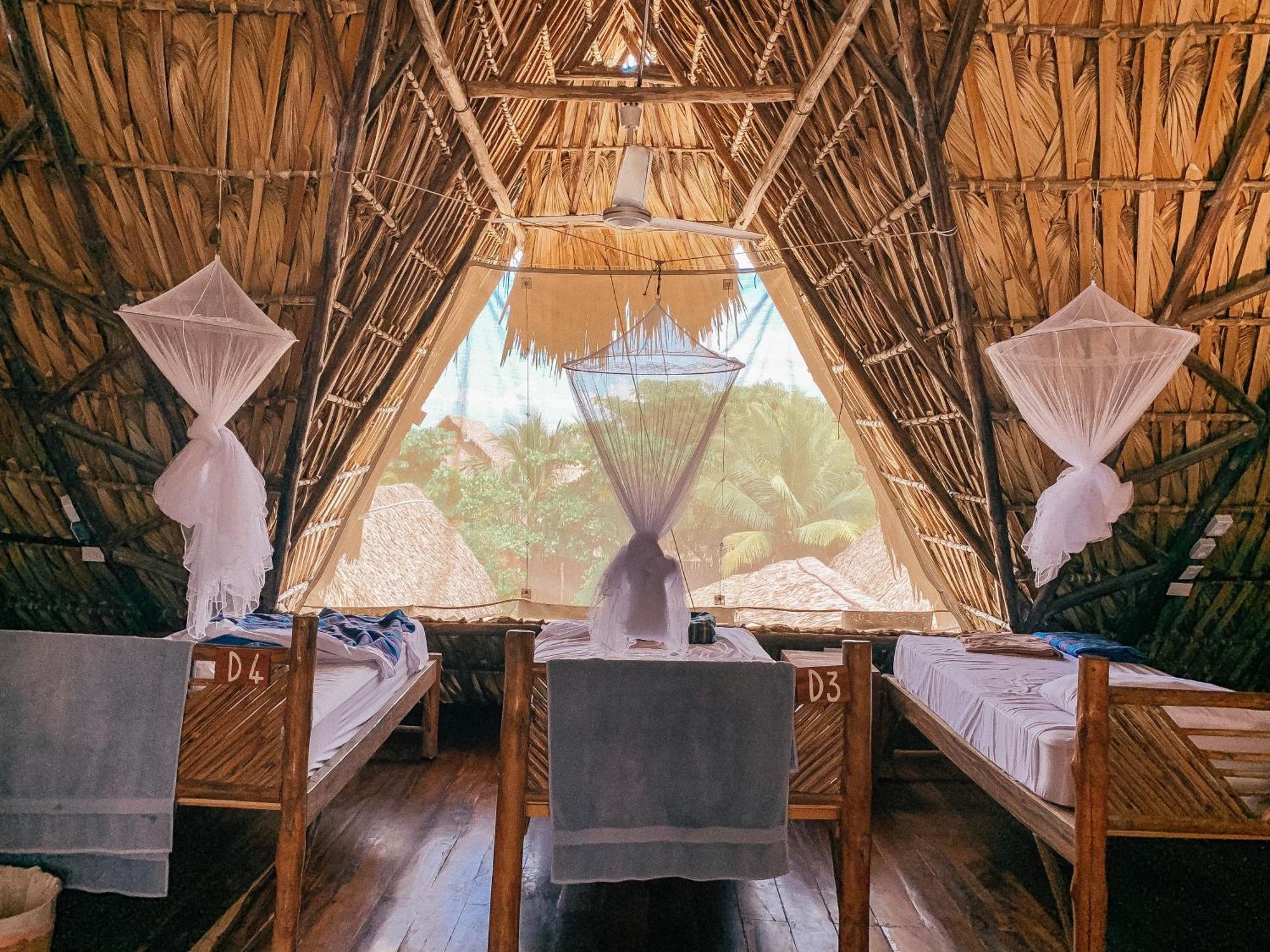 Готель Paredon Surf House El Paredon Buena Vista Номер фото