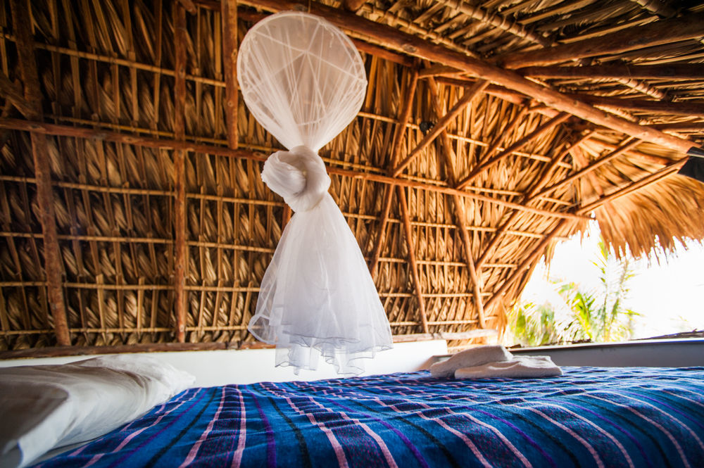 Готель Paredon Surf House El Paredon Buena Vista Екстер'єр фото